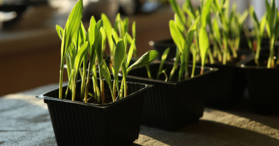 MAKE THE MOST OF SPRING – IT'S THE SELLING SEASON!