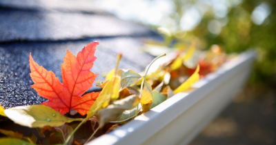Autumn Jobs: How to Prepare Your Home and Garden