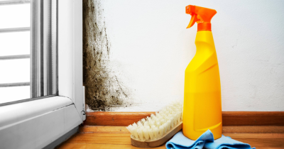 Is Mould In A Rental Property A Landlord’s Responsibility?