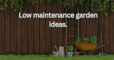 Low Maintenance Garden Ideas: Your Guide to Effortless Gardening