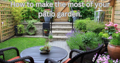 How To Make the Most Of Your Patio Garden