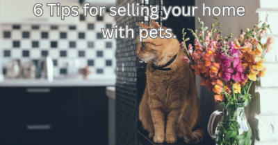 6 Tips for Selling Your Home With Pets
