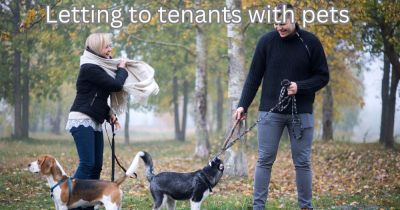 Landlord Tips: Letting To Tenants With Pets