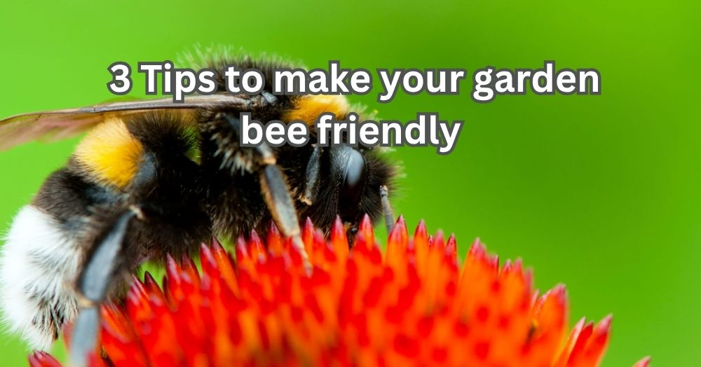 3 Tips to Make Your Garden Bee-Friendly in Bedfordshire