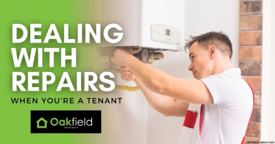 Dealing with Repairs When You’re a Flintshire Tenant