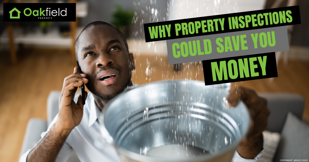 Why Property Inspections Could Save You Money