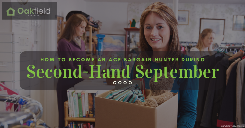 How to Find the Best Second-Hand Bargains in Flintshire