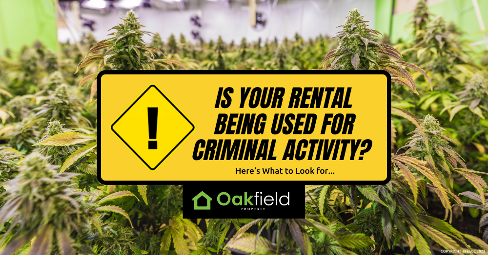 Is Your Flintshire Rental Being Used for Criminal Activity? Here Are the Signs