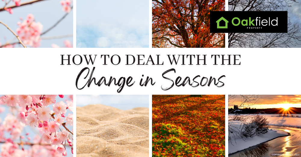 How to Beat the Blues and Embrace Seasonal Changes in Flintshire