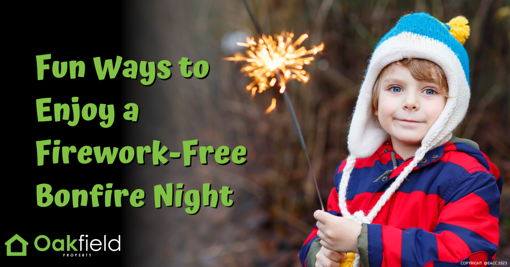 Fun Ways to Enjoy a Firework-Free Bonfire Night in Flintshire