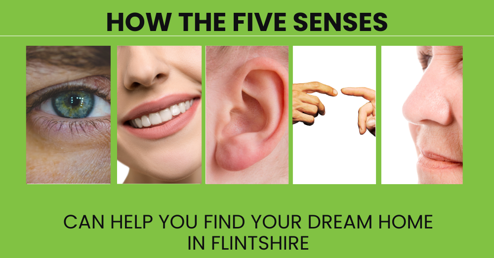 How the Five Senses Can Help You Find Your Dream Home in Flintshire