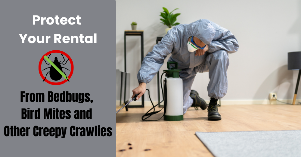 The Pests to Look Out for at Your Flintshire Rental Property
