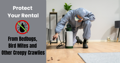 The Pests to Look Out for at Your Flintshire Rental Property