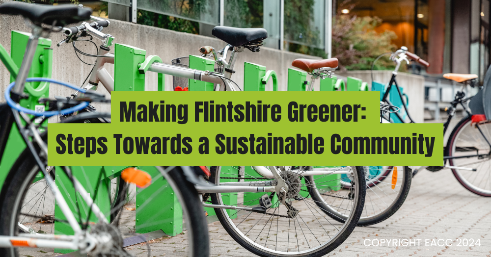 Making Flintshire Greener: Steps Towards a Sustainable Community