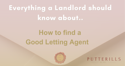 How to Find and Manage Your Letting Agent