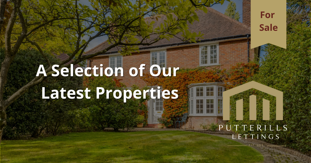 Selection of Our Latest Properties