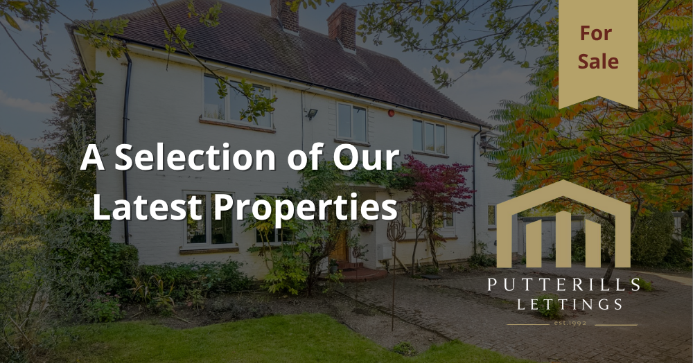 Selection of Our Latest Properties