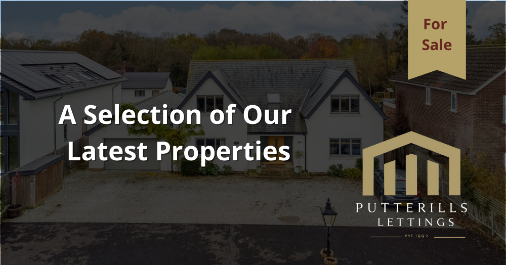 Selection of Our Latest Properties