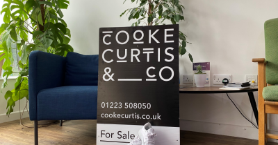 Cooke Curtis & Go, Go, Go