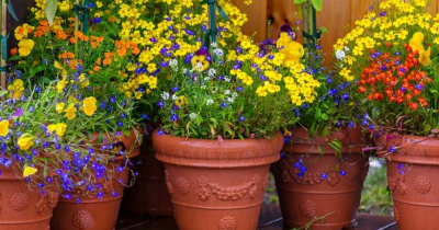 Staging your property for Spring and Summer