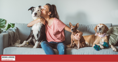 Selling Your Home with Pets: Tips for a Smooth Process