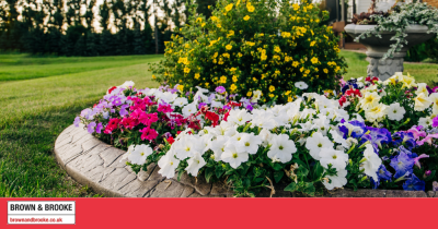 Why Curb Appeal Matters: Enhancing Your Home's First Impression for a Successful Sale