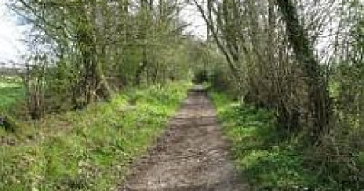 WHAT TO DO THIS NEW YEARS DAY ??  How about a local walk !!