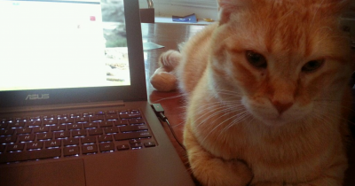 We may have some distractions working from home, but........