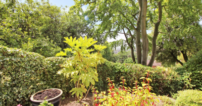 Pharos Drive - Imposing Four Bedroom Family Home - Dover