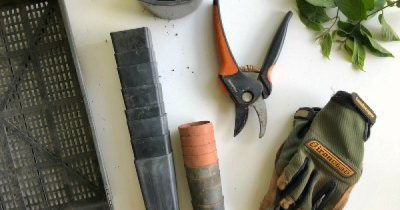 Quick Garden Improvements that can Attract New Buyers or Renters