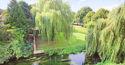 The Rope Walk - Two Bedroom City Apartment with Balcony - TO LET