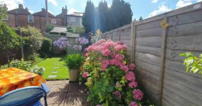 City Centre Garden In Bloom - St Pauls Terrace - Canterbury