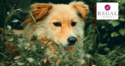 It's Feelgood Friday: Time to Focus on a Little Bit of Good News…For A Change