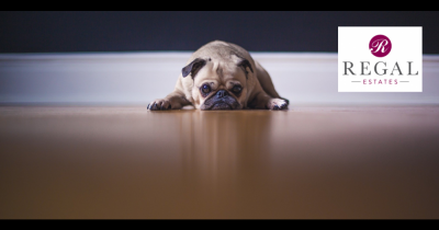 How Landlords in East Kent Can Beat the Blues