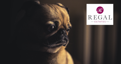 HOW TO REDUCE YOUR ANXIETY WHEN BUYING A HOME