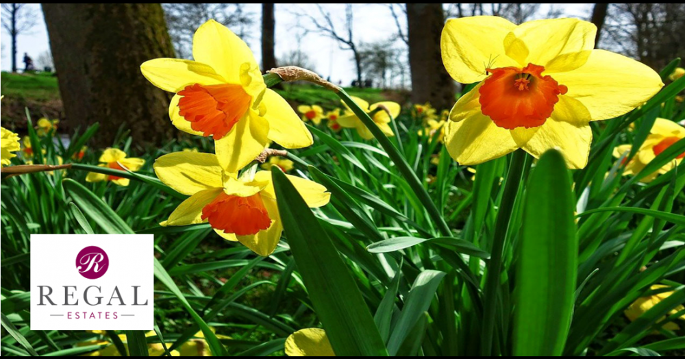 HOW TO SECURE A SNAPPY SALE OF YOUR HOME THIS SPRING