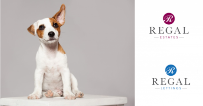 Why Now More Than Ever, it is Essential to Choose the Right Estate Agent to Sell Your Home