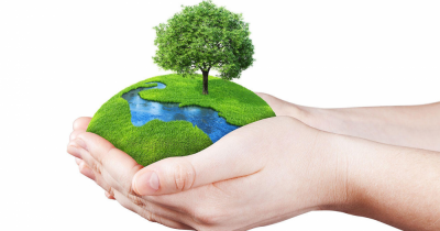 Ways to Make Your Canterbury & Sandwich Home More Eco-Friendly