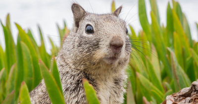 Top Tips for Making the Most of Your Outside Space