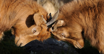 How Landlords in Glasgow and Lanarkshire Can Reduce the Risk of Disputes