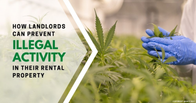 How Landlords Can Prevent Illegal Activity in Their Rental Property