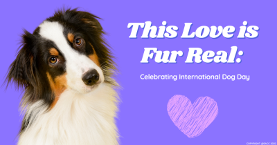 This Love is Fur Real: Celebrating International Dog Day