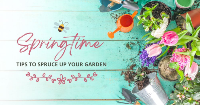 Springtime Tips to Spruce Up Your Garden in Scotland