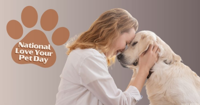 Pet Power: Four Amazing Stories for Animal Lovers