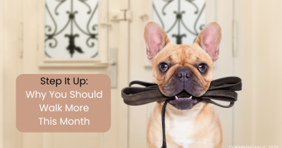 Step It Up: Why You Should Walk More This Month