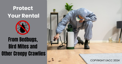 Protect Your Rental from Bedbugs, Bird Mites and Other Creepy Crawlies