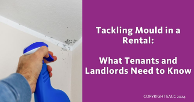 Mould: New Statistics Show This Age-Old Problem Isn’t Going Away