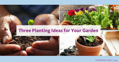 Three Things to Do This Weekend for a Great Garden This Year