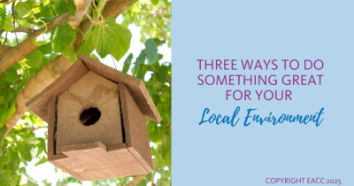 Three Ways to Do Something Great for Your Local Environment