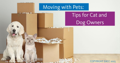 Moving with Pets: Tips for Cat and Dog Owners